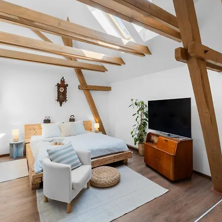 Statek Luigi شقة Tuchlovice